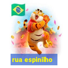 rua espinilho - guarani novo hamburgo - rs 298